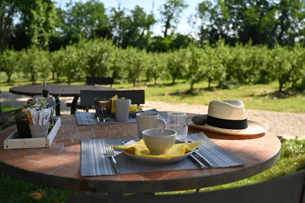 Mas De Capelou Bed & Breakfast Avignon Eksteriør bilde
